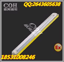BCX6225粉塵防爆防腐熒光燈產(chǎn)品詳情 鎮(zhèn)流器特性與應(yīng)用